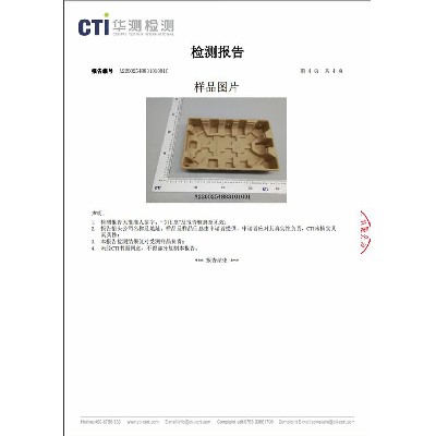 检测报告2