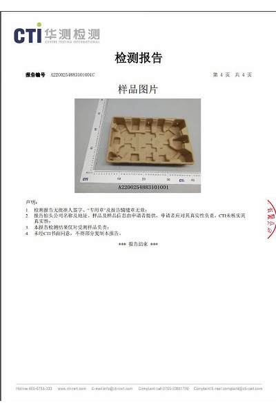 检测报告2