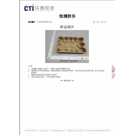 检测报告2